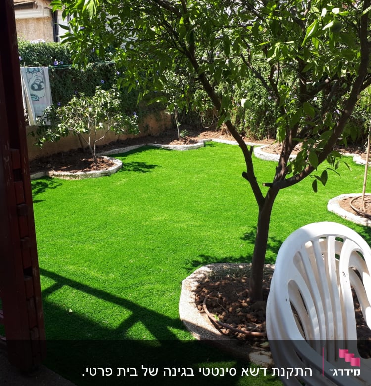 דשא ירוק ועצים קטנים בגינה מטופחת